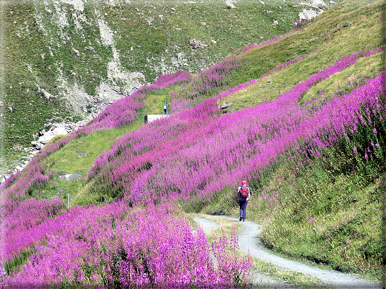 foto Saint Rhemy En Bosses Crevacol